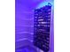 A temperature-controlled wine cellar features shelving and racks for storing and displaying wine bottles at 7261 Obannon Dr, Las Vegas, NV 89117