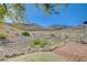 Rocky backyard with sparse desert vegetation offers a natural landscape at 231 W Horizon Ridge Pkwy # 426, Henderson, NV 89012
