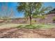 A well-maintained backyard includes grass and a mulched area with lush trees at 231 W Horizon Ridge Pkwy # 426, Henderson, NV 89012