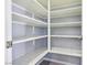 Spacious walk-in pantry with ample shelving for organized storage at 457 Cornelius Kelly Ave, Henderson, NV 89011