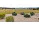 Expansive green common area with manicured landscaping and walking paths, perfect for outdoor activities at 7828 Stone Forest St, North Las Vegas, NV 89084