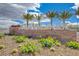 Beautiful entryway with desert landscaping including cactus and palm trees at 7828 Stone Forest St, North Las Vegas, NV 89084