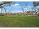 Community green space with mature trees, grassy areas, and covered seating at 9053 Pearl Cotton Ave, Las Vegas, NV 89149