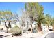 Neighborhood park showcasing trees, a picnic table, and walking paths amid attractive landscaping at 9672 Gunsmith Dr, Las Vegas, NV 89123