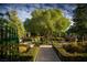 Beautifully landscaped garden with manicured hedges, a central tree, and inviting benches for relaxation at 11237 Gallery Echo St, Las Vegas, NV 89141