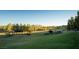 Expansive green space showcasing manicured lawns and lush trees within a residential community at 11237 Gallery Echo St, Las Vegas, NV 89141
