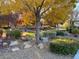 Landscaped park with mature trees, green grass, bushes, walking paths, and playground in the background at 11820 Calle De Sol Dr, Las Vegas, NV 89138