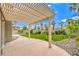 Backyard featuring a covered patio, lush lawn, and palm trees, perfect for outdoor relaxation and entertaining at 4679 El Camino Cabos Dr, Las Vegas, NV 89147
