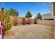 View of the backyard featuring a brick wall with several small trees, and arid groundcover at 5044 Whistling Acres Ave, Las Vegas, NV 89131