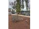 Street view of a single-story home featuring a driveway at 569 Canosa Ave, Las Vegas, NV 89104