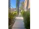 Landscaped walkway showcases greenery with a glimpse of other homes at 8170 Round Hills Cir, Las Vegas, NV 89113