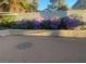 A backyard with a sun emblem, concrete flooring, a cement wall, and a blooming garden at 3417 Iberia St, Las Vegas, NV 89146