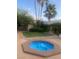 Backyard with a pebble patio, small grass area, several palm trees, and an in-ground hexagonal jacuzzi at 3417 Iberia St, Las Vegas, NV 89146
