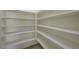Walk-in pantry with plenty of shelving for storage at 370 Mano Destra Ln, Henderson, NV 89011