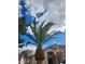 Exterior view of a well-maintained home with a palm tree and a red tile roof against a cloudy sky at 1255 Del Lilly Ln, Las Vegas, NV 89123