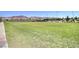 Well-maintained grassy recreational field for sports and activities with scenic mountain views at 2445 Rue Royale, Henderson, NV 89044