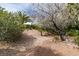 Gravel landscaping featuring mature trees, bushes, and shrubs that enhance this serene backyard at 5029 Alfingo St, Las Vegas, NV 89135