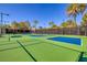 Outdoor tennis and pickleball courts surrounded by tall palm trees at 7711 Spanish Lake Dr, Las Vegas, NV 89113