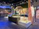 Interior museum exhibit of a camel skeleton and display of artifacts at 3925 Kettle Falls Ave, North Las Vegas, NV 89085