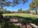 Expansive grassy park with mature trees and manicured landscaping, perfect for recreation at 3925 Kettle Falls Ave, North Las Vegas, NV 89085