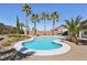 Backyard kidney-shaped pool surrounded by desert landscaping and mature palm trees against a clear blue sky at 1019 Amber Gate St, Henderson, NV 89002