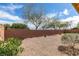 Low-maintenance backyard with mature trees and privacy wall offering a tranquil outdoor space at 10260 Hawks Wing St, Las Vegas, NV 89178