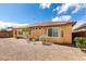 Exterior view showcasing the home's architecture, landscaping, and window details at 10260 Hawks Wing St, Las Vegas, NV 89178