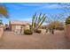 Expansive desert-landscaped backyard featuring diverse cacti, shrubbery, and a covered patio at 10813 Black Ledge Ave, Las Vegas, NV 89134