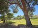 Scenic view of the community park featuring mature trees and a pedestrian bridge at 3117 Brightridge Dr, Las Vegas, NV 89134