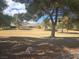 Community green space with mature trees and a glimpse of a home in the distance at 3117 Brightridge Dr, Las Vegas, NV 89134