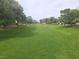 Expansive green space with mature trees offering a park-like setting and serene ambiance at 3117 Brightridge Dr, Las Vegas, NV 89134
