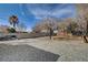 Gravel backyard with surrounding wall and mature trees at 3140 Unicorn Ave, Pahrump, NV 89048