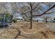 Expansive backyard with mature trees, and recreational features at 3140 Unicorn Ave, Pahrump, NV 89048