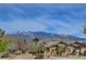 Charming single-story home nestled among lush landscaping with majestic mountain views at 3140 Unicorn Ave, Pahrump, NV 89048