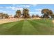 Picturesque view of the golf course with manicured grass and mature trees at 2553 Showcase Dr, Las Vegas, NV 89134