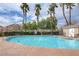 Community pool with clear blue water, lush palm trees, and a convenient shower house at 3313 Jamaica Princess Pl # 3, North Las Vegas, NV 89084