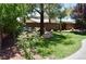 Lush backyard featuring mature trees, green lawn, and a brick wall for privacy at 4047 Cougar Falls Ct, North Las Vegas, NV 89085