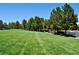 Expansive green space with mature trees, offering a serene and open environment for recreation and relaxation at 4047 Cougar Falls Ct, North Las Vegas, NV 89085