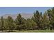 Scenic views of distant mountains can be enjoyed from mature trees around the community at 4047 Cougar Falls Ct, North Las Vegas, NV 89085
