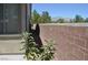 Landscaped side yard with brick wall offering privacy and serene outdoor space at 4047 Cougar Falls Ct, North Las Vegas, NV 89085