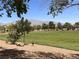 Beautiful neighborhood park featuring a spacious green lawn and mountain views at 8301 Strawberry Spring St, Las Vegas, NV 89143