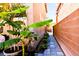 Narrow side yard with lush tropical plants and stone tile pathway between two buildings at 5040 Copperlyn St, Las Vegas, NV 89122