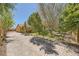 Charming single story home with a long paved driveway and mature trees providing ample shade and privacy at 6151 Whispering Sands Dr, Las Vegas, NV 89131