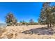 Expansive lot offering ample space for landscaping or outdoor entertaining bordered by a chain link fence line at 10615 Rancho Destino Rd, Las Vegas, NV 89183