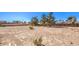 Spacious and undeveloped backyard with room for gardening or outdoor recreation with existing trees at 10615 Rancho Destino Rd, Las Vegas, NV 89183