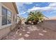 Exterior shot of backyard with stone pavers, palm tree, and brick fence under a sunny sky at 4632 Cantina Rey St, North Las Vegas, NV 89081