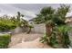 Secluded backyard with palm trees, desert landscaping, and a patio at 10311 Birch Bluff Ln, Las Vegas, NV 89145