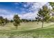 Expansive green space with mature trees, offering a serene and picturesque setting for outdoor activities at 10476 Tyler Park Ave, Las Vegas, NV 89135