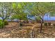 Serene community park with walking paths, lush trees, and a shaded picnic area at 1634 Clint Canyon Dr, Henderson, NV 89002