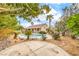 Lush backyard featuring a pool, mature trees, and flowering plants, offering a picturesque and peaceful outdoor space at 2810 Lava Rock Ave, North Las Vegas, NV 89031
